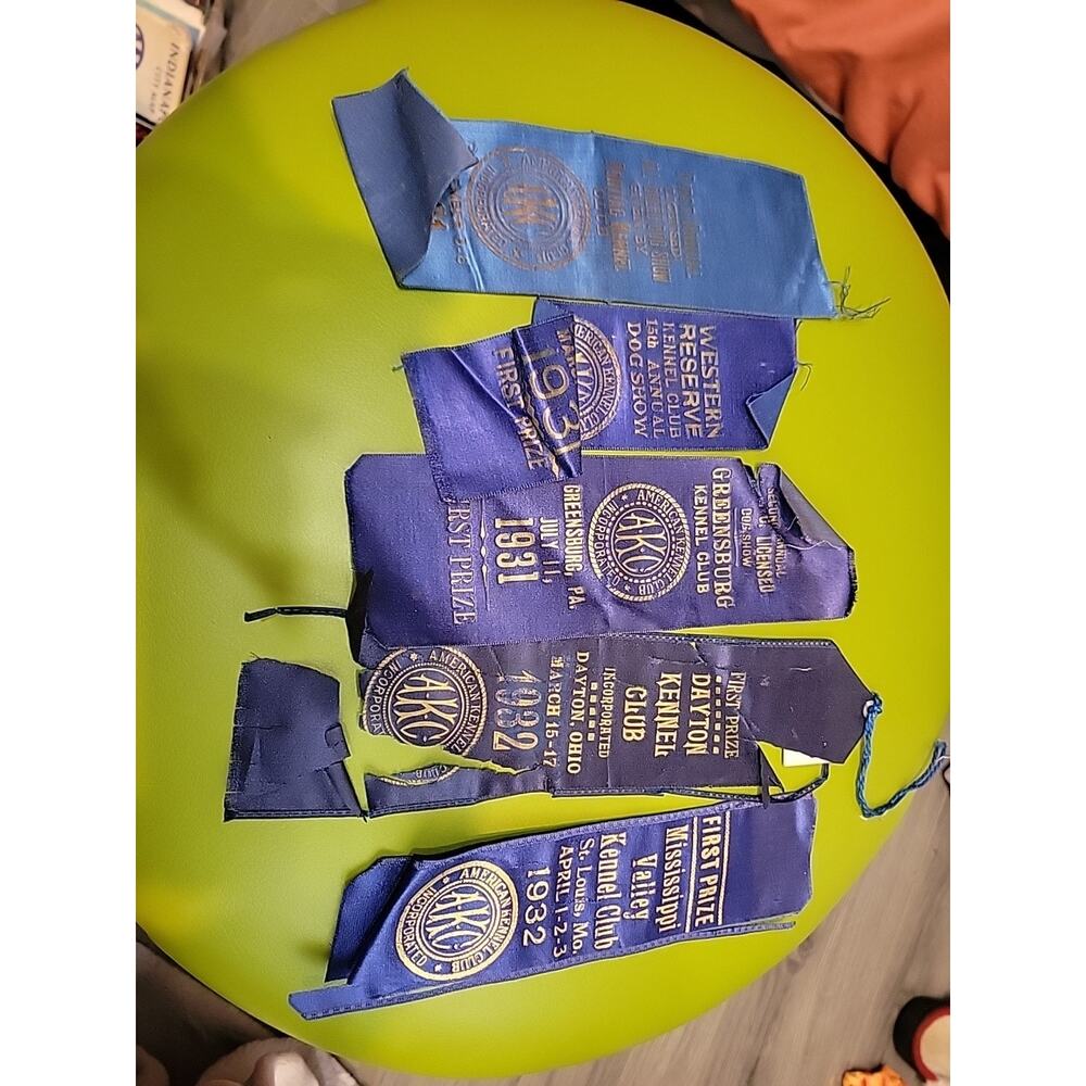 Lot Of 5 1931 32 Kennel Club Blue Ribbons Dog Show